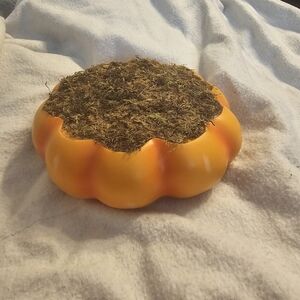 Target DISCONTINUED 8" Pumpkin Fall Halloween Thanksgiving Pumpkin Centerpiece